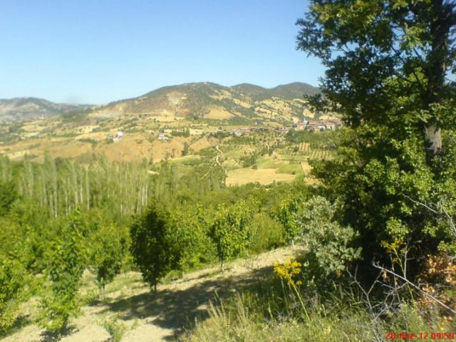 Turgay Asmalıkaya 9 Temmuz 2016 43